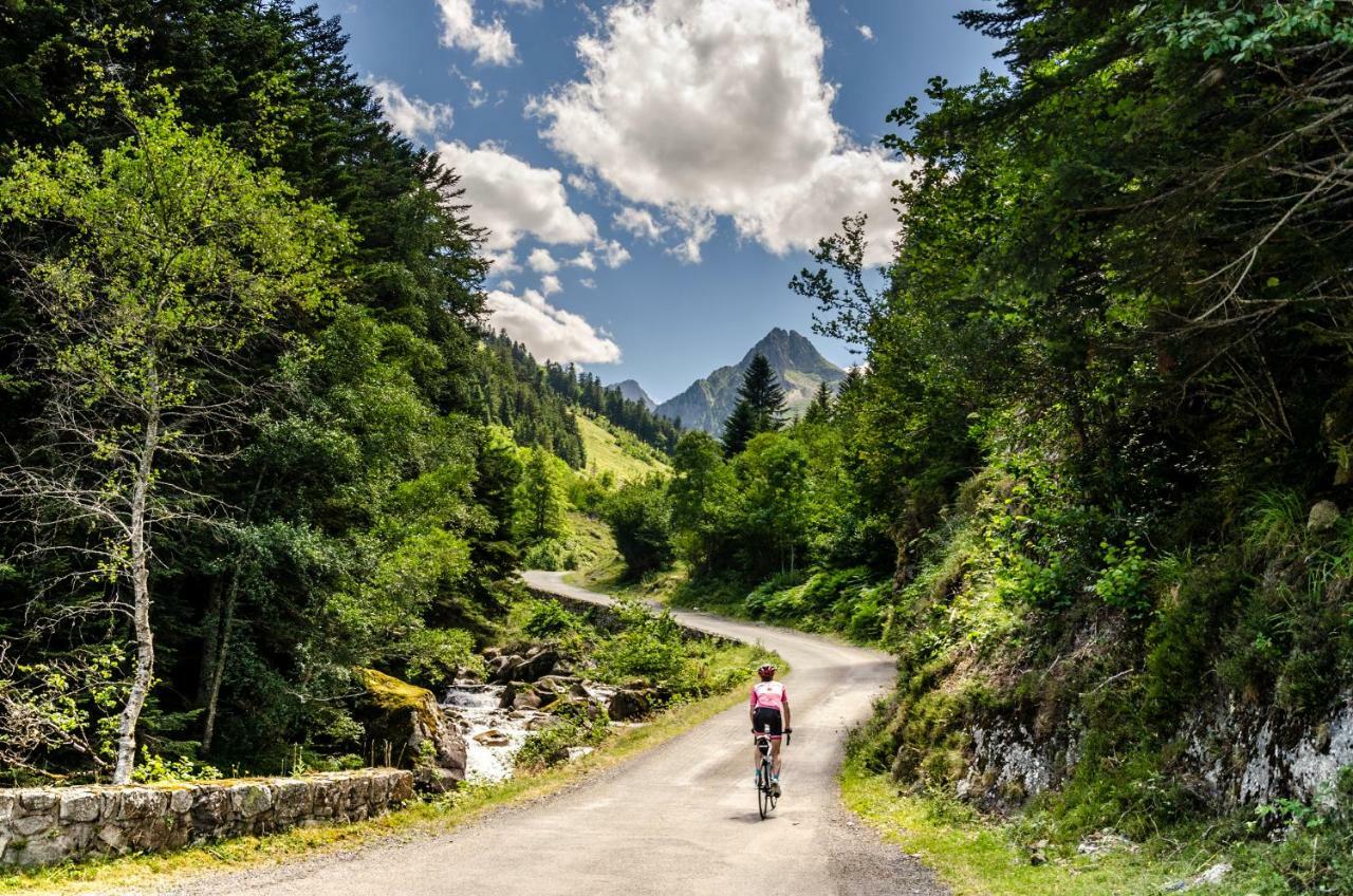 Pyrenees Cycling Lodge Saint-Savin  외부 사진
